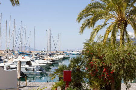 Costa Blanca, Alicante province, Calpe, Spain - April 5, 2021: view of the promenade with yachts and boats, palm trees. City landscapeの写真素材