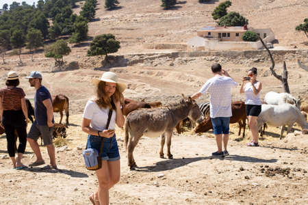 Spain, Penagila - June 21, 2019: Tourists take pictures and observe goats, horses, donkeys and other cattle in the Aitana Safari Park.のeditorial素材