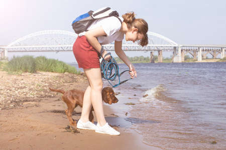 Caucasian girl walks with a little Irish red setter puppy on the river bank on a sunny day.の写真素材
