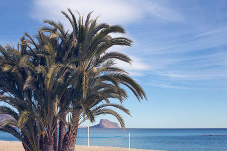 Palm trees on the beach against the backdrop of the sea and the mountain range, blue sky with beautiful clouds in the sun. Moraira, Spainの写真素材