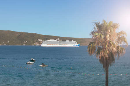 Luxury cruise ship departs from the port, palm tree in the foreground