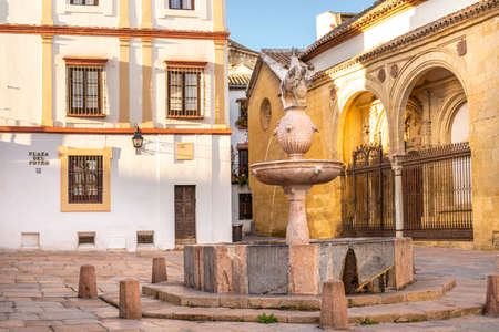 Plaza del Potro with a fountain crowned with a foal and a coat of arms in the Old Town Cordoba, Andalusia, Spain.の写真素材