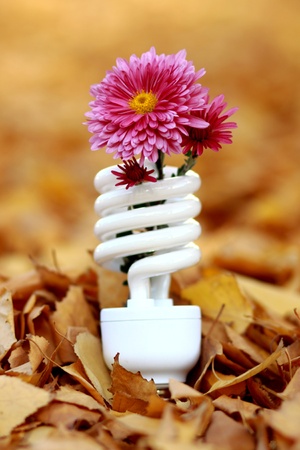 Energy-saving fluorescent lamp with a flower in the leaves