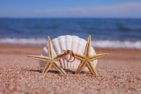 Starfish on the beach with wedding ringsの写真素材