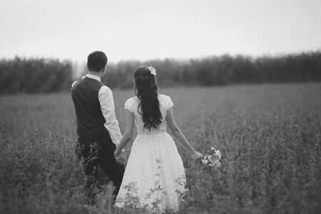 Wedding. Bride and groom hold hands and meet the sunset. A beautiful couple. High quality photoの写真素材
