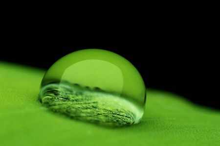 a drop of dew on a green leaf very close up. High quality photoの写真素材