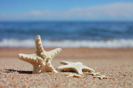 Starfish on the beach. Sandy beach with waves. Summer vacation concept. Holidays by the sea. High quality photoの写真素材