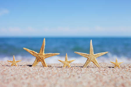 Starfish on the beach. Sandy beach with waves. Summer vacation concept. Holidays by the sea. High quality photoの写真素材