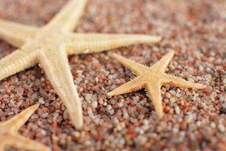 Starfish on the beach. Sandy beach with waves. Summer vacation concept. Holidays by the sea. High quality photoの写真素材