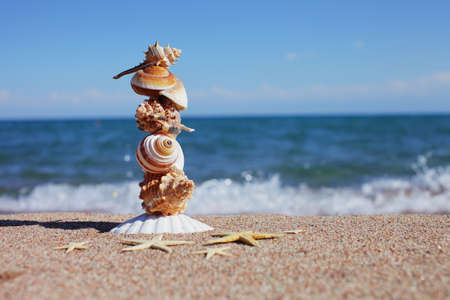 Sea shells and starfish on the beach. Sandy beach with waves. Summer vacation concept. Holidays by the sea. High quality photoの写真素材