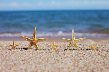 Starfish on the beach. Sandy beach with waves. Summer vacation concept. Holidays by the sea. High quality photoの写真素材