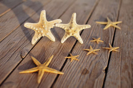 Starfish on a wooden pier poured over a wooden deck. Summer vacation concept. Holidays by the sea. High quality photoの写真素材