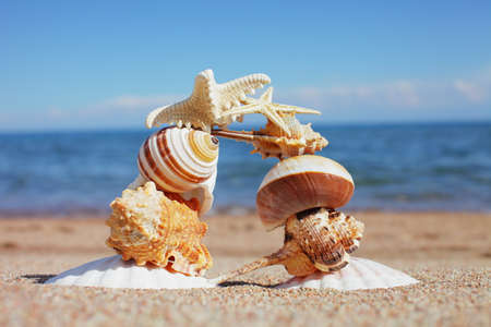 Sea shells and stars on the shore. Rest on the seashore, ocean. Island Travelの写真素材