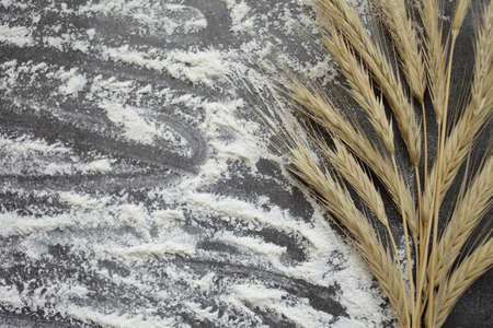 Ears of wheat and flour on a gray background. Top view, grain. Ripe wheat. For baking bread. High quality photoの写真素材