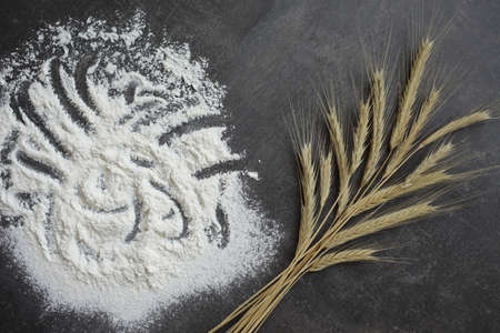 Ears of wheat and flour on a gray background. Top view, grain. Ripe wheat. For baking bread. High quality photoの写真素材