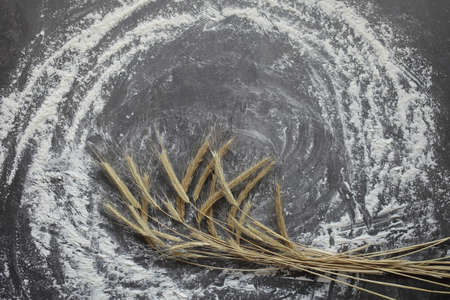 Ears of wheat and flour on a gray background. Top view, grain. Ripe wheat. For baking bread. High quality photoの写真素材