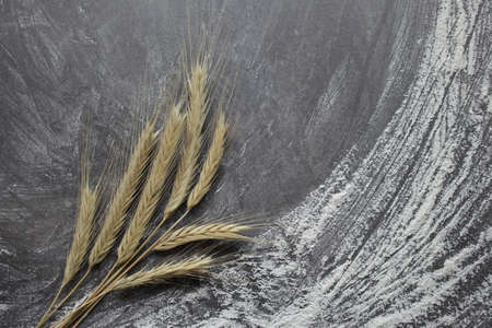 Ears of wheat and flour on a gray background. Top view, grain. Ripe wheat. For baking bread. High quality photoの写真素材