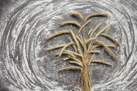 Ears of wheat and flour on a gray background. Top view, grain. Ripe wheat. For baking bread. High quality photoの写真素材