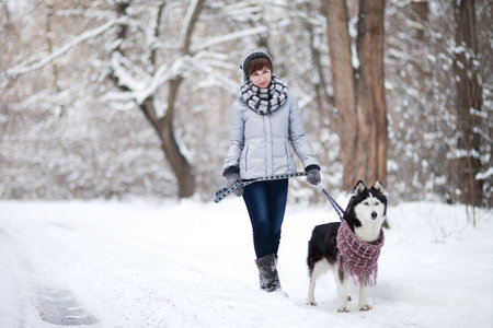 Girl walks with dog siberian husky in winter snowy forestの写真素材