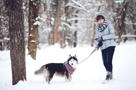 Girl walks with dog siberian husky in winter snowy forestの写真素材