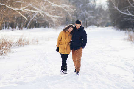 On a winter day, a young couple is walking in an embrace in the park and communicatingの写真素材