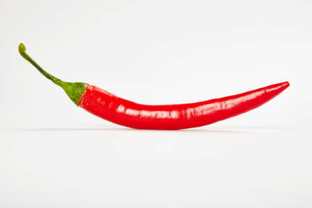 Red pepper chilli on a white backgroundの写真素材