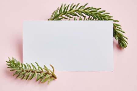 New year greeting card on the rose backgroundの写真素材