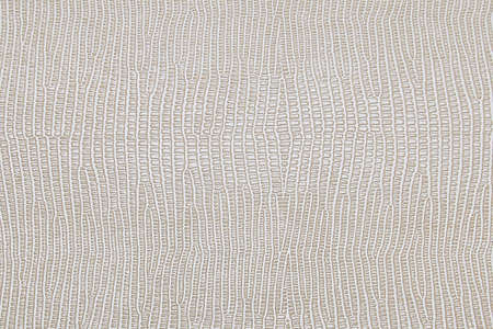 light grey leather texture background for decorの写真素材