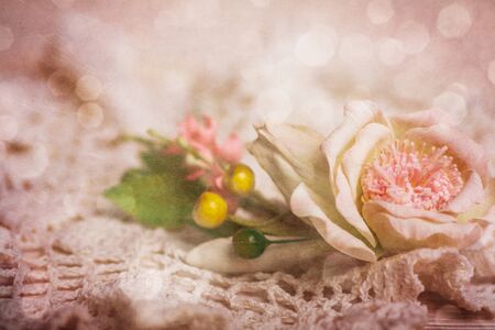 Abstract background with close up of rose flower with free space for textの写真素材