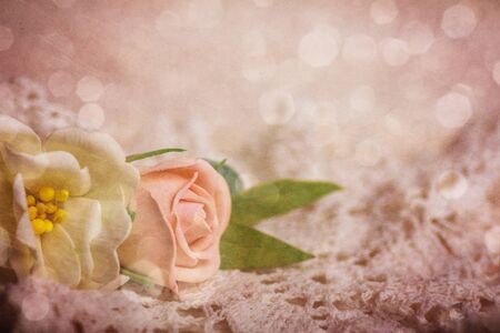 Abstract background with close up of rose flower with free space for textの写真素材