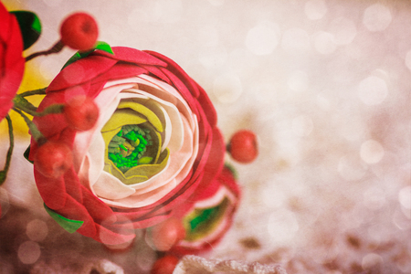 Abstract background with close up of flower with free space for textの写真素材