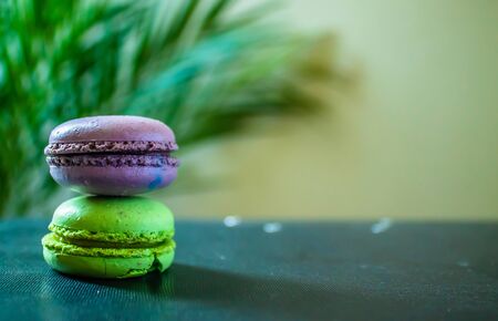 two macaroons cookies on a dark background with a palm tree at the back. Copy space. tasty conceptの写真素材