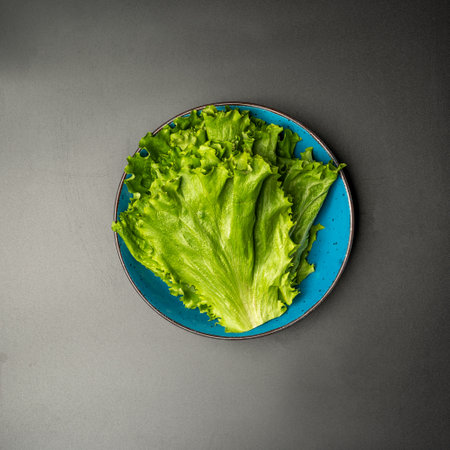 ingredients for bulgogi with salads, beef and lettuce, top viewの写真素材