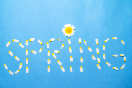 Word spring written with white petals on a blue background