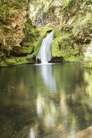 Small waterfall falling into a pool of water, with a background of trees and rocks with green moss.の写真素材