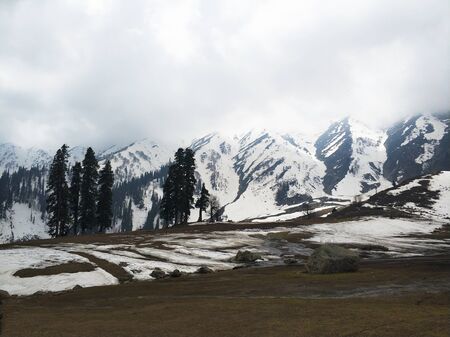 A shot of a plain field with mountain range in the backgroundの写真素材