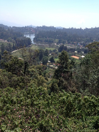 A view from top hillsの素材