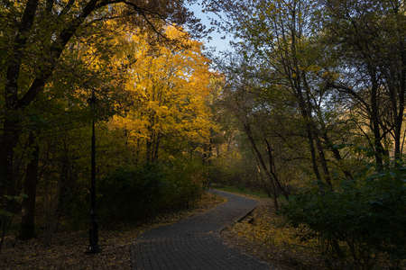 Golden autumn in the city park. Sunny October morning. Beautiful autumn landscape. A winding path along which a woman with a dog walks in the distance.の写真素材