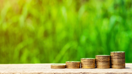 stack of golden coins in the garden. - Concept of Investment property.の写真素材