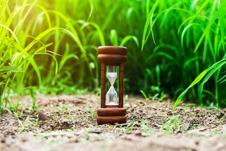 small hourglass in green grass field. - measuring the passing time and countdown to a deadline.の写真素材