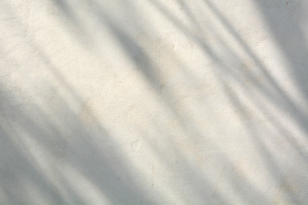 shadow of branches and leaves on a white wallの写真素材