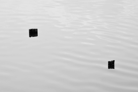two old wooden pole in the sea - monochromeの写真素材