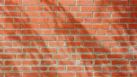 shadow of tree leaf and branch on orange antique brick wall - background