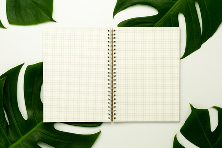grid notebook and green leaves on white background