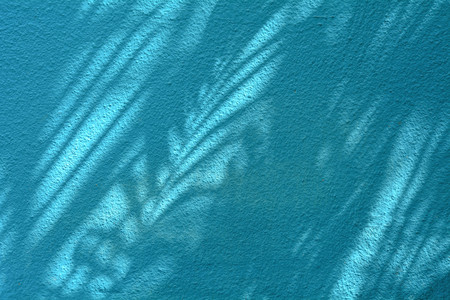 palm coconut leaf shadow on blue cement wallの写真素材