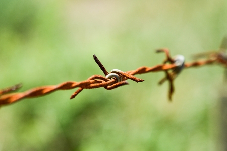 rusty barbed wireの写真素材