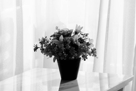vase with plastic flower in the room - monochromeの写真素材