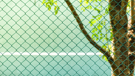 green metal net at the parkの写真素材