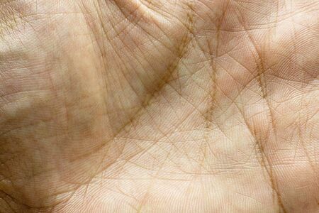detail of hand print or skin of human hand.の写真素材