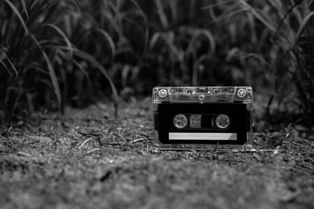 vintage audio cassette tapes on the floor in the garden. - monochromeの写真素材